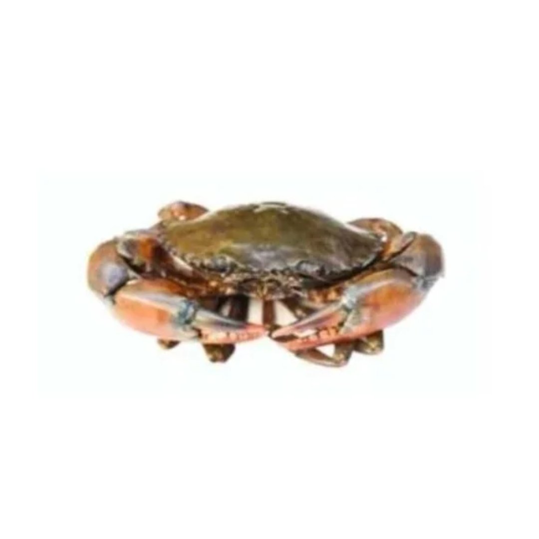 Sundarban Mud Crab Delivery Dhaka