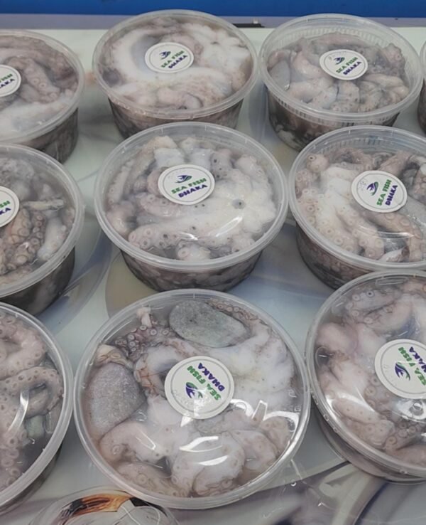 OCTOPUS Fresh Octopus | তাজা অক্টোপাস