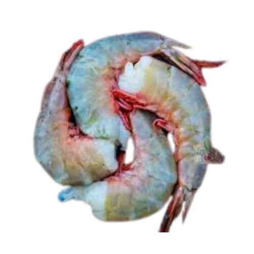 Shrimp without head (মাথা ছাড়া চিংড়ি)