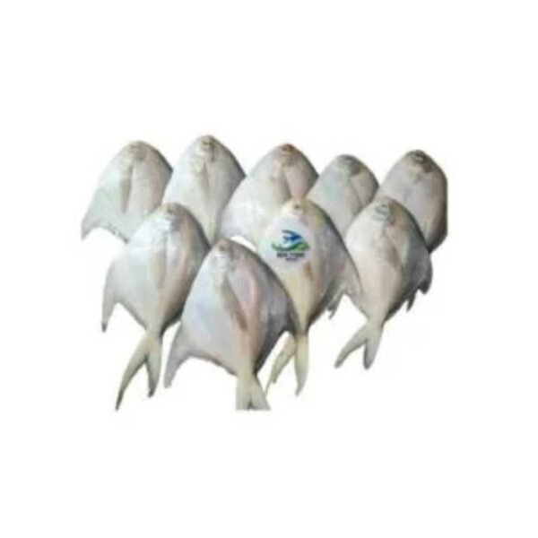 Rupchanda-রূপচাঁদা মাছ (1 kg = 4-5 পিচ)