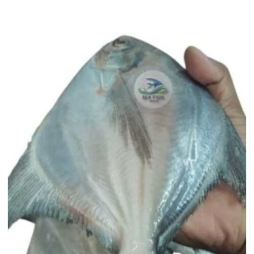 Big Rupchanda-রূপচাঁদা মাছ (1 kg = 2 পিচ)