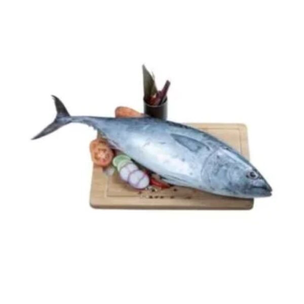 Untitled design (38) Tuna Fish – সামুদ্রিক টুনা মাছ