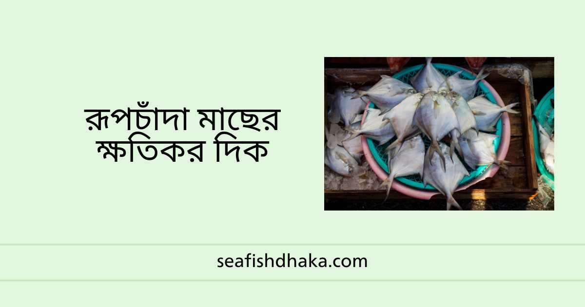 রূপচাঁদা মাছের ক্ষতিকর দিক