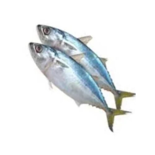 Premium Surma Fish -(৪-৬পিসে কেজি)