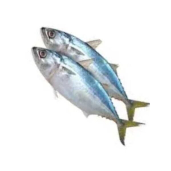 Premium Surma Fish -(৪-৬পিসে কেজি)