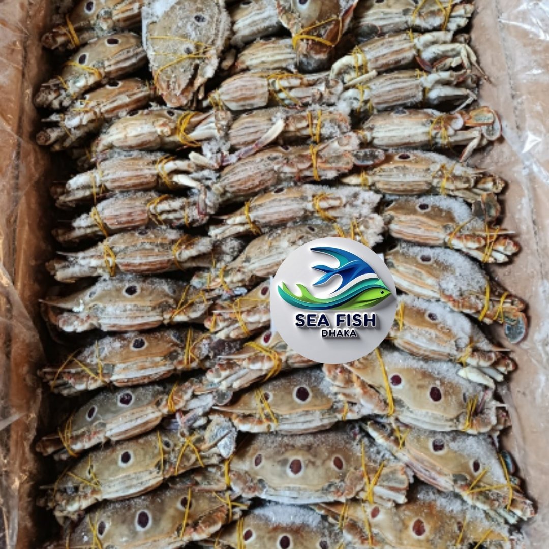 Buy 3 Star Crab Online Bangladesh