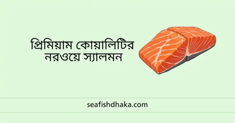 নরওয়ে স্যালমন মাছের উপকারিতা