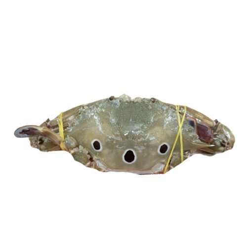 3 Star Crab