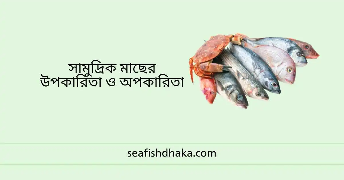 সামুদ্রিক মাছের উপকারিতা ও অপকারিতা