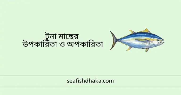 টুনা মাছের উপকারিতা ও অপকারিতা