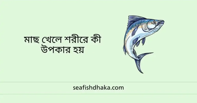 মাছ খেলে শরীরে কী উপকার হয়