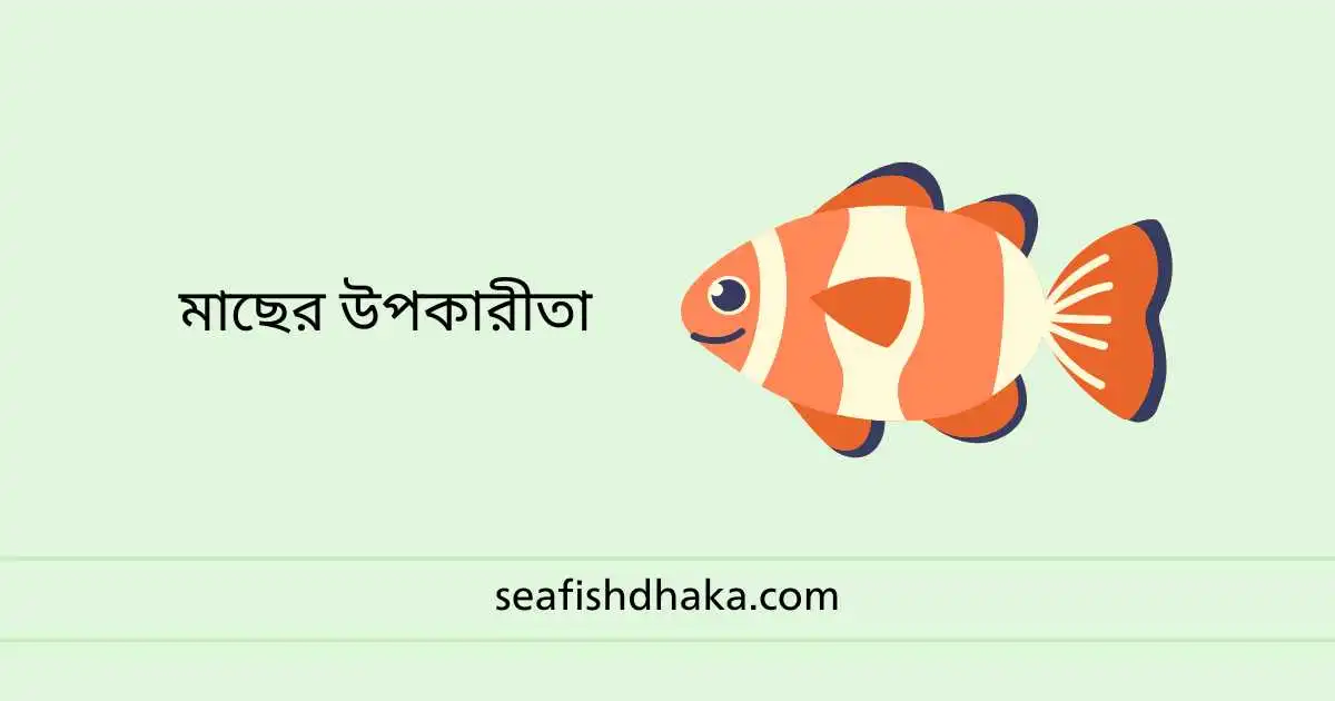 মাছের উপকারীতা