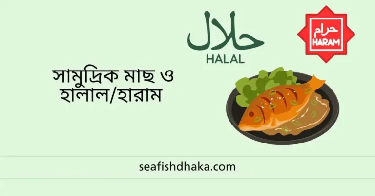 সামুদ্রিক মাছ ও হালাল/হারাম