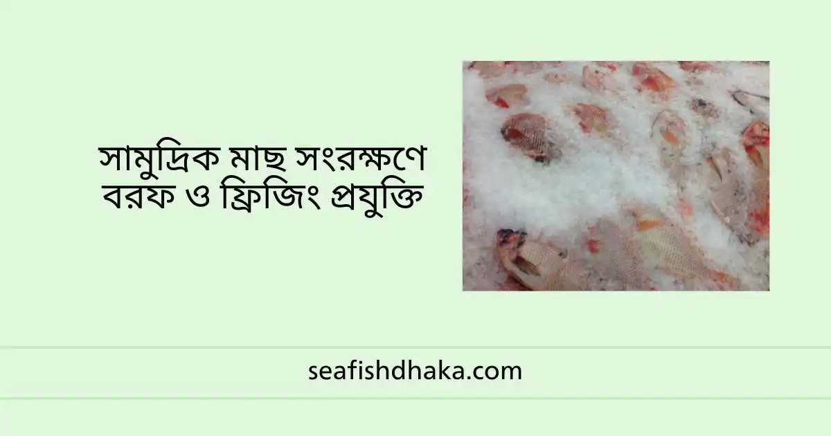 সামুদ্রিক মাছ সংরক্ষণে বরফ ও ফ্রিজিং প্রযুক্তি