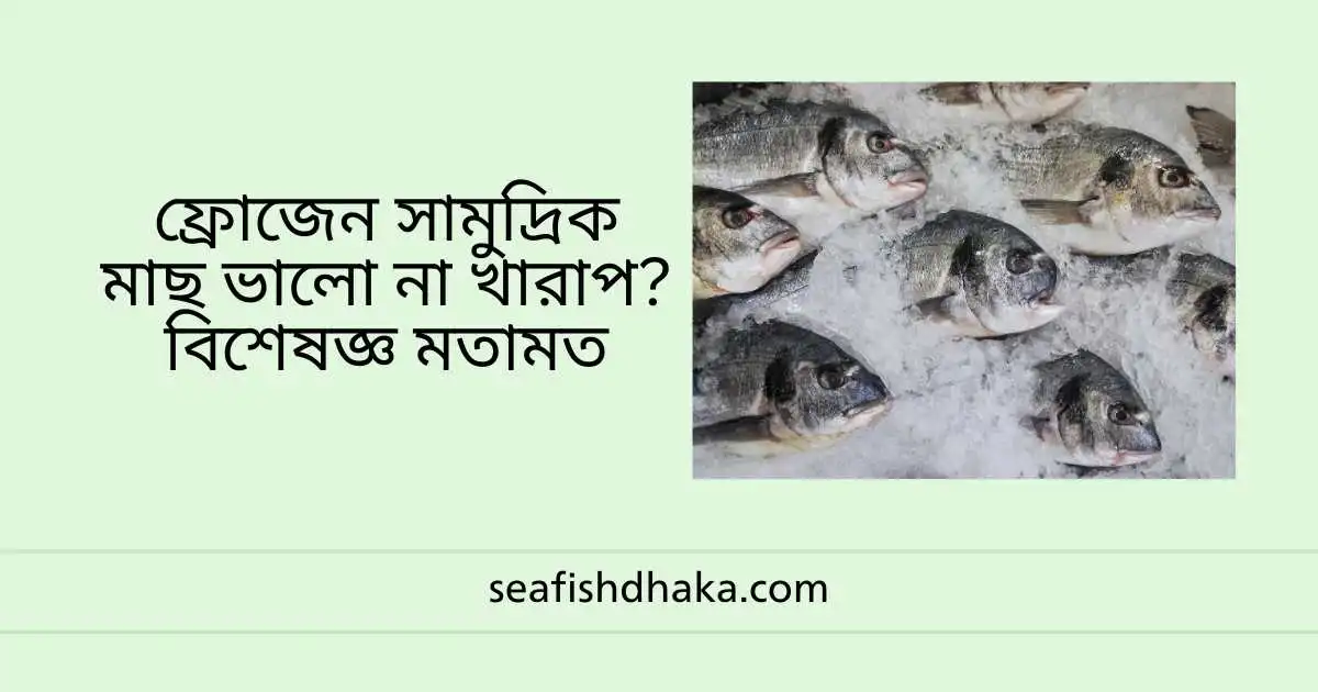 ফ্রোজেন সামুদ্রিক মাছ ভালো না খারাপ? বিশেষজ্ঞ মতামত