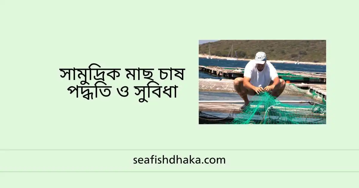 সামুদ্রিক মাছ চাষ পদ্ধতি ও সুবিধা