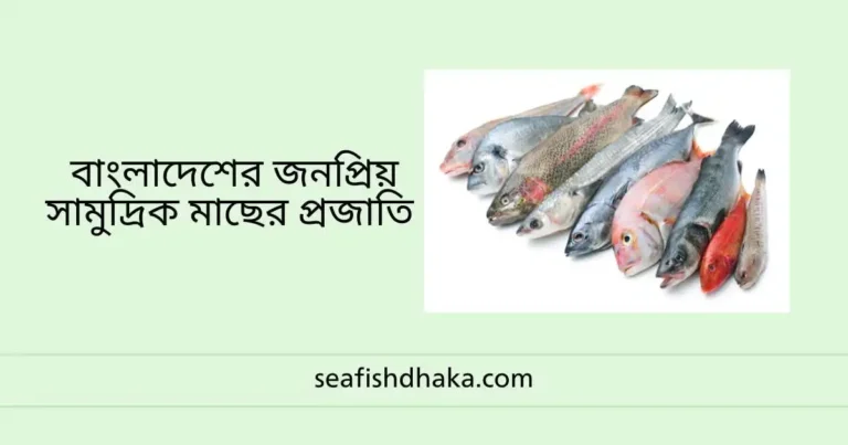 বাংলাদেশের জনপ্রিয় সামুদ্রিক মাছের প্রজাতি