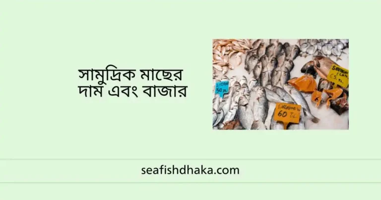সামুদ্রিক মাছের দাম এবং বাজার