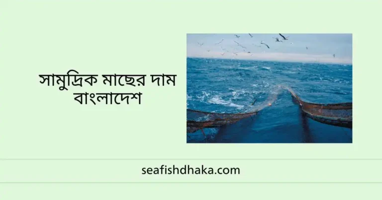 সামুদ্রিক মাছের দাম বাংলাদেশ