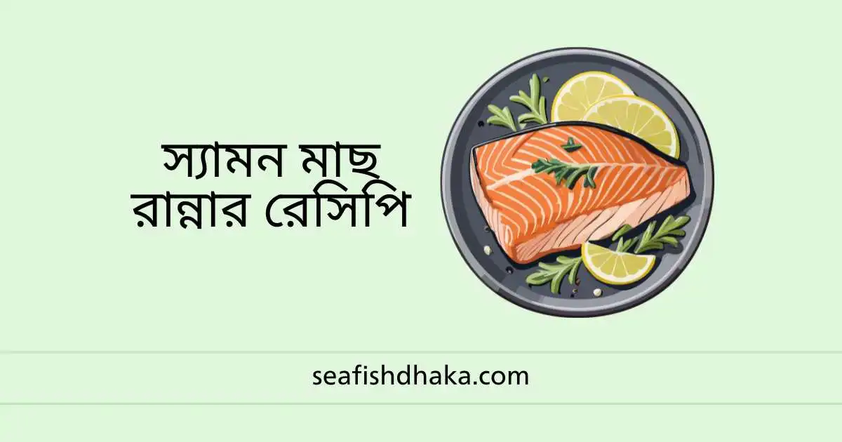 স্যামন মাছ রান্নার রেসিপি