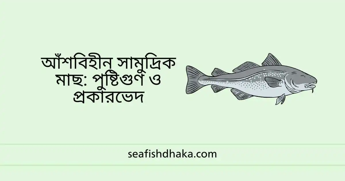 আঁশবিহীন সামুদ্রিক মাছ