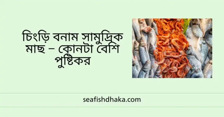 চিংড়ি বনাম সামুদ্রিক মাছ – কোনটা বেশি পুষ্টিকর