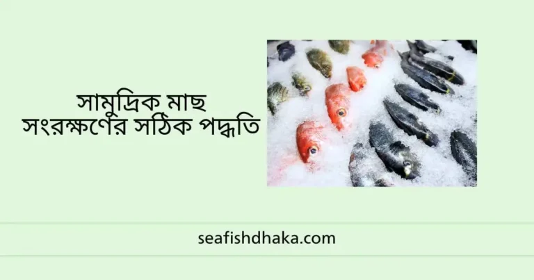 সামুদ্রিক মাছ সংরক্ষণের সঠিক পদ্ধতি