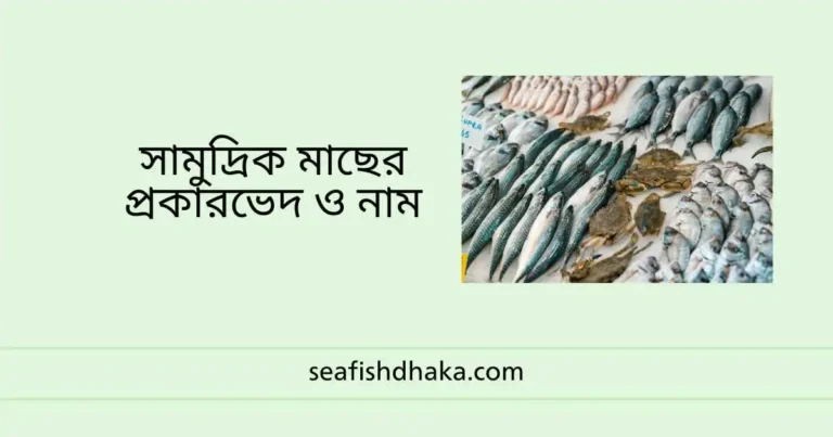সামুদ্রিক মাছের প্রকারভেদ ও নাম