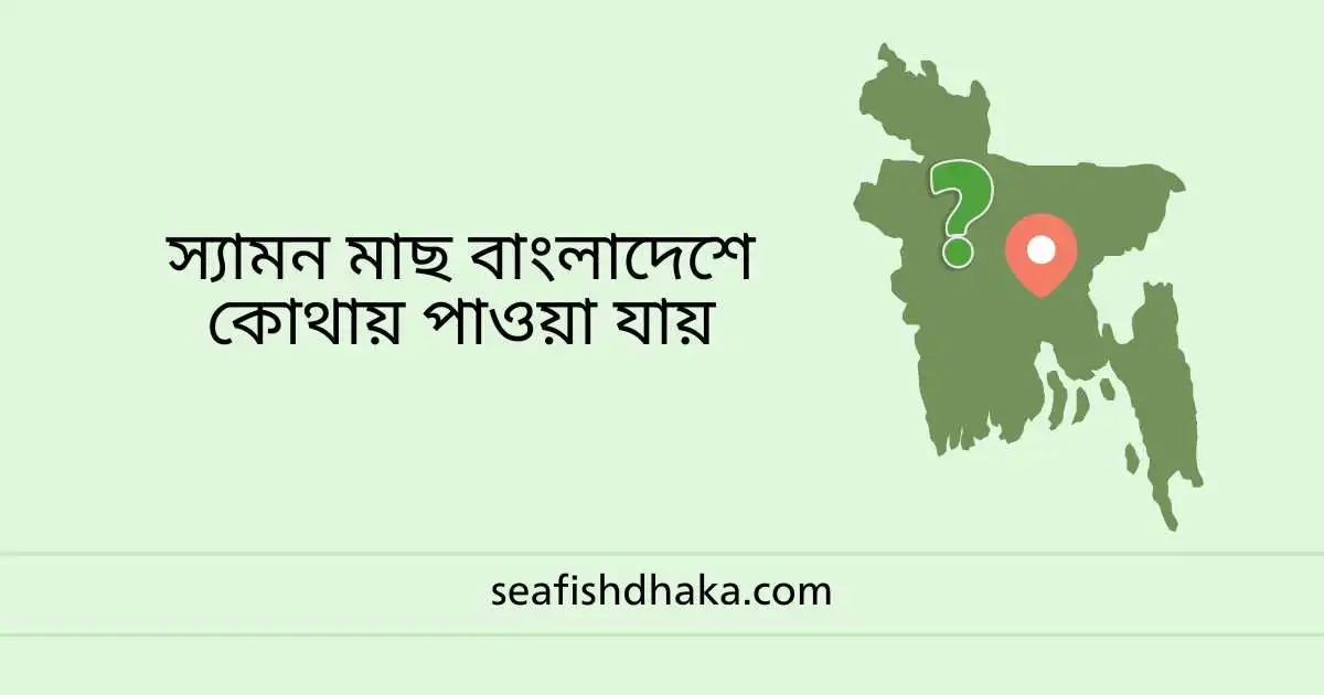 স্যামন মাছ বাংলাদেশে কোথায় পাওয়া যায়