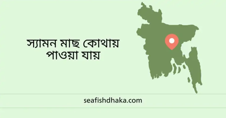 স্যামন মাছ কোথায় পাওয়া যায়