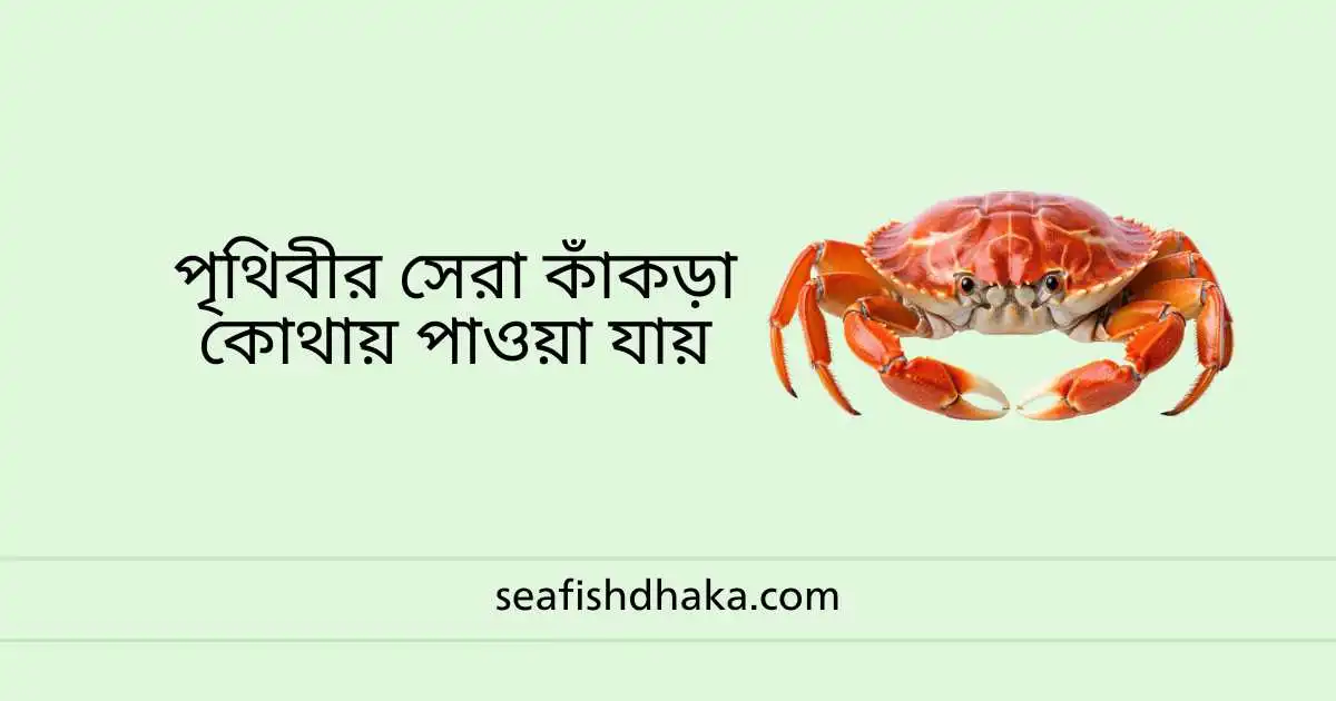 পৃথিবীর সেরা কাঁকড়া কোথায় পাওয়া যায়