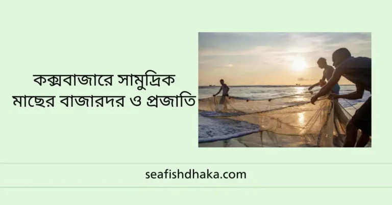 কক্সবাজারে সামুদ্রিক মাছের বাজারদর ও প্রজাতি