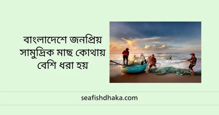 বাংলাদেশে জনপ্রিয় সামুদ্রিক মাছ কোথায় বেশি ধরা হয়