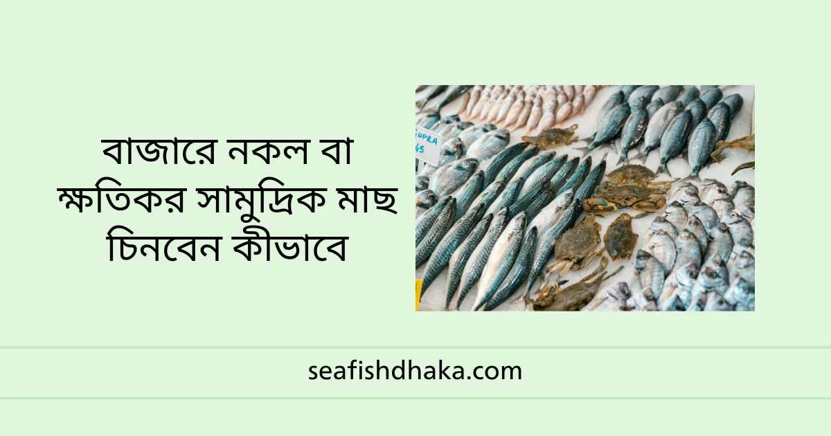 বাজারে নকল বা ক্ষতিকর সামুদ্রিক মাছ চিনবেন কীভাবে