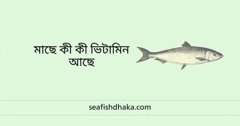 মাছে কী কী ভিটামিন আছে