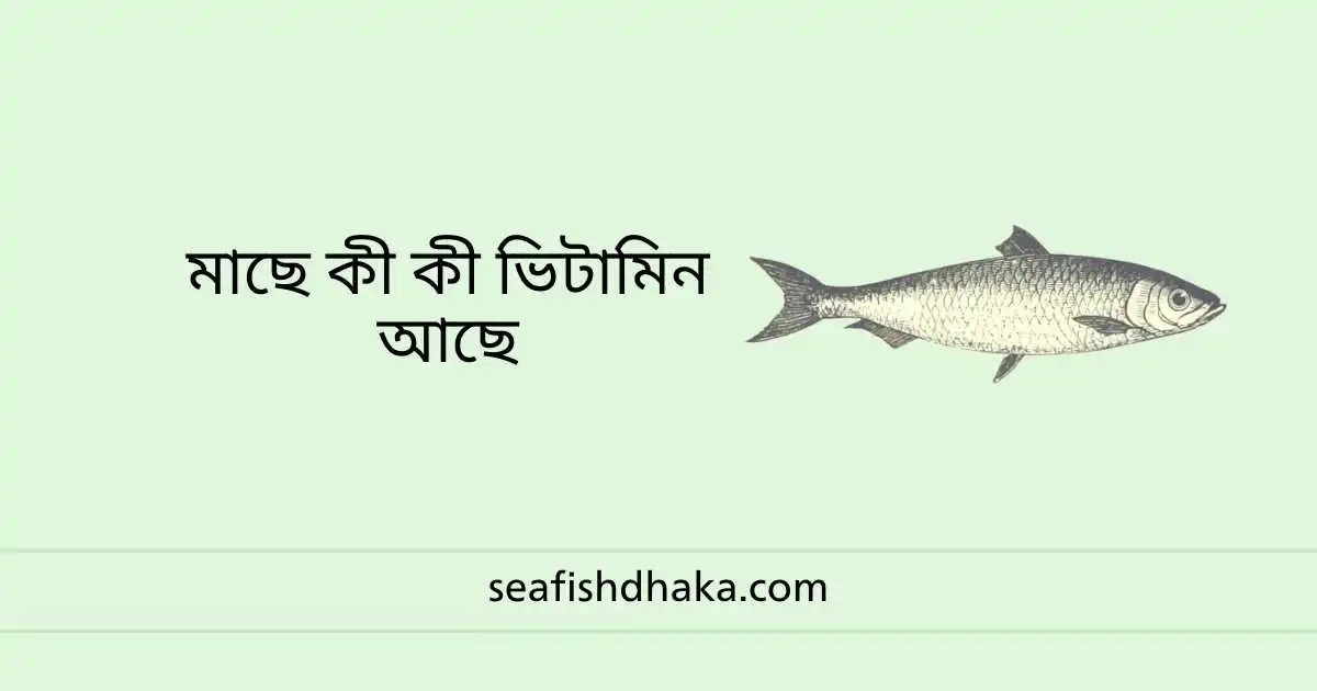 মাছে কী কী ভিটামিন আছে