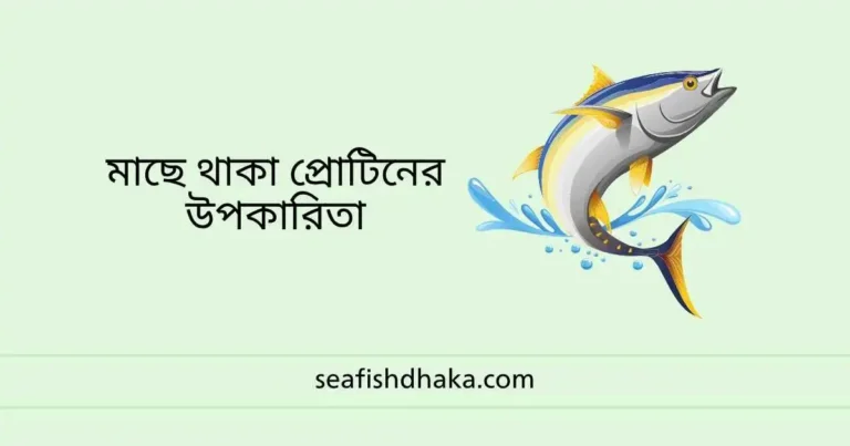 মাছে থাকা প্রোটিনের উপকারিতা