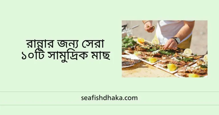 রান্নার জন্য সেরা ১০টি সামুদ্রিক মাছ