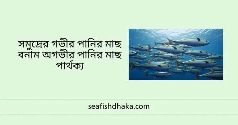 সমুদ্রের গভীর পানির মাছ বনাম অগভীর পানির মাছ পার্থক্য
