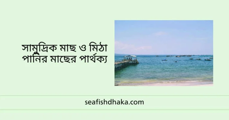 সামুদ্রিক মাছ ও মিঠা পানির মাছের পার্থক্য