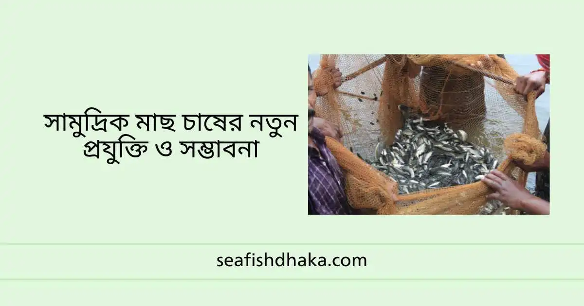 সামুদ্রিক মাছ চাষের নতুন প্রযুক্তি ও সম্ভাবনা