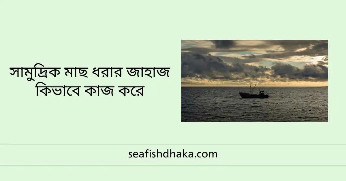 সামুদ্রিক মাছ ধরার জাহাজ কিভাবে কাজ করে
