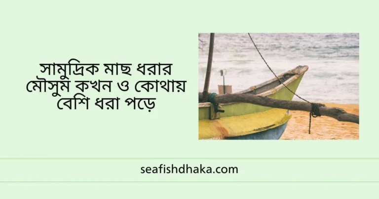 সামুদ্রিক মাছ ধরার মৌসুম কখন ও কোথায় বেশি ধরা পড়ে