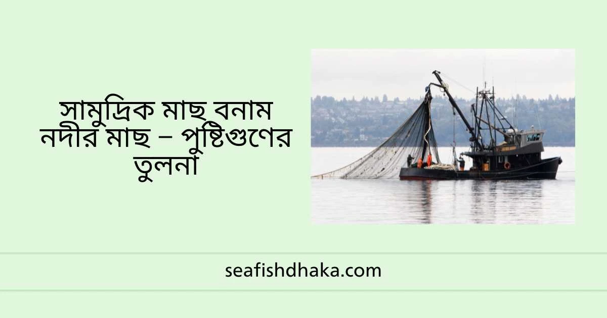 সামুদ্রিক মাছ বনাম নদীর মাছ – পুষ্টিগুণের তুলনা