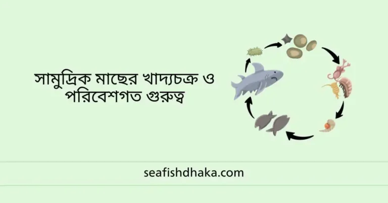 সামুদ্রিক মাছের খাদ্যচক্র ও পরিবেশগত গুরুত্ব
