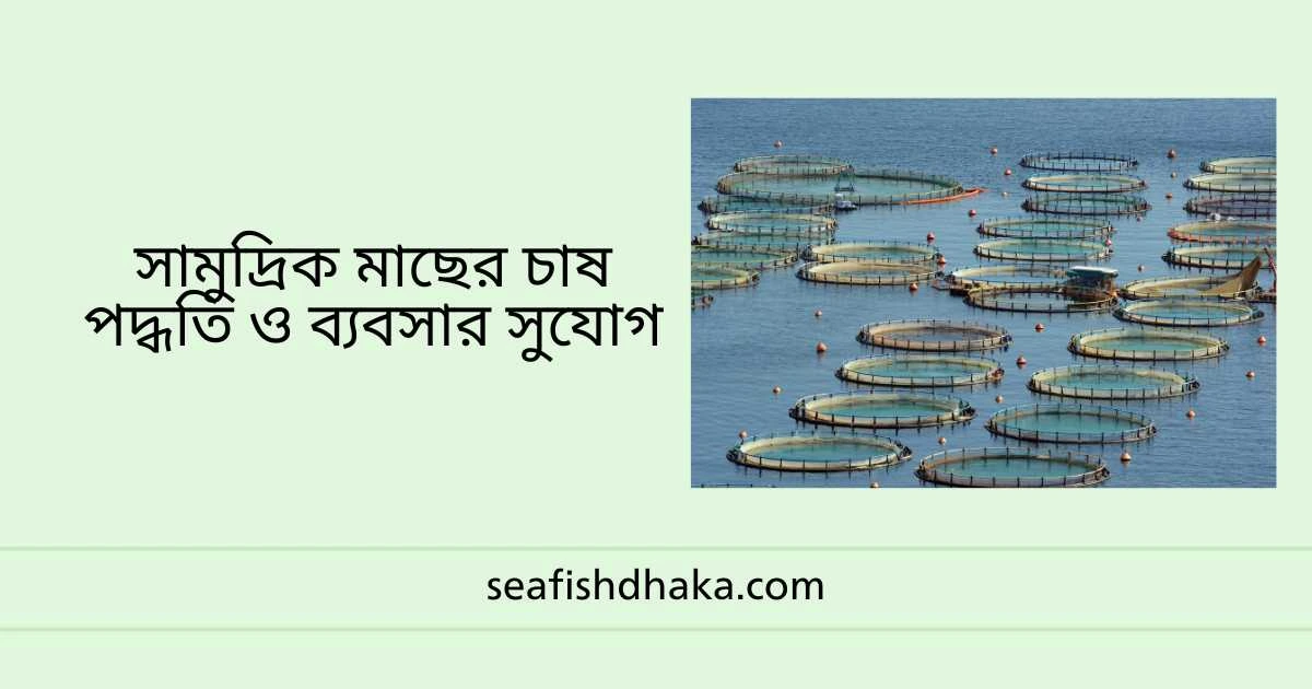 সামুদ্রিক মৎস্যর চাষ পদ্ধতি ও ব্যবসার সুযোগ