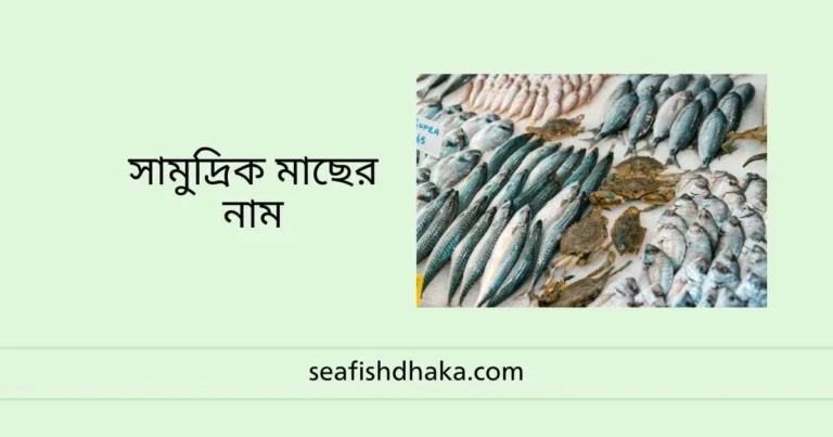 সামুদ্রিক মাছের নাম