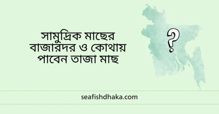 সামুদ্রিক মাছের বাজারদর ও কোথায় পাবেন তাজা মাছ
