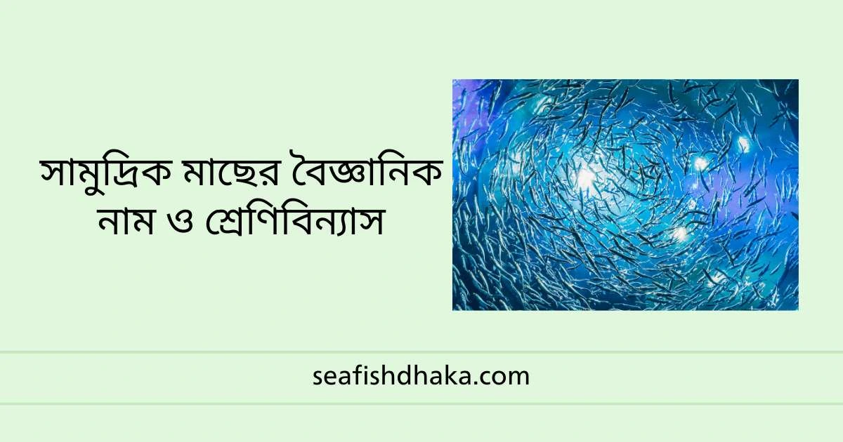 সামুদ্রিক মাছের বৈজ্ঞানিক নাম ও শ্রেণিবিন্যাস