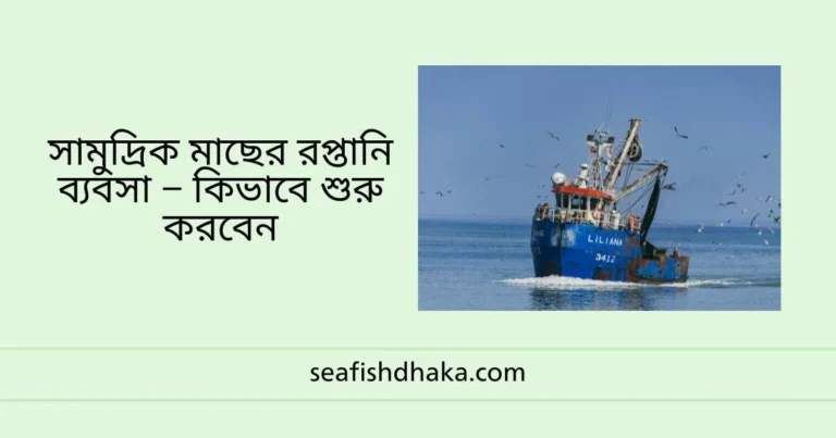 সামুদ্রিক মাছের রপ্তানি ব্যবসা – কিভাবে শুরু করবেন